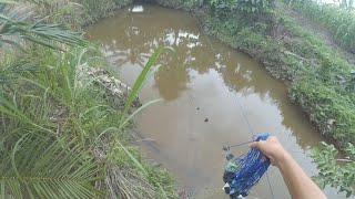 Cara Memasang Pukat Di Sungai Yang Dalam Tanpa Harus Turun Ke Air