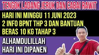 2 INFO BPNT TAHAP 3 DAN BERAS 10 KG TAHAP 3 2023 HARI INI 11 JUNI 2023