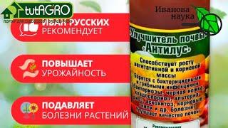 АНТИЛУС ваши растения и урожай под защитой и охраной 247. Сенная палочка - мощная выручалочка.