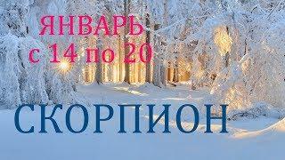 СКОРПИОН. ТАРО-ПРОГНОЗ на НЕДЕЛЮ с 14 по 20 ЯНВАРЯ. 2019.