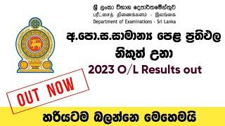 ol ප්‍රතිඵල නිකුත් උනා  how to watch ol results  ol results released  g.c.e ol results