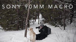 SNOWY HIKE with the A7III + Sony 90mm F2.8 MACRO