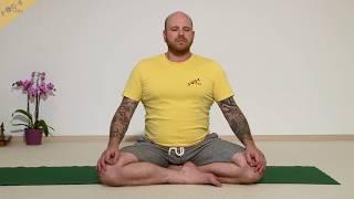 Yogastunde mit Affirmationen 60 min mit Vorkenntnissen