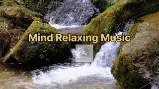 Mind Relax Music  Meditation Music  Serenity Aura Music
