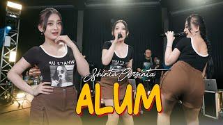 ALUM - SHINTA ARSINTA Official Music Live