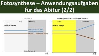 Fotosynthese - Anwendungsaufgaben für Klausuren  das Abitur 22 - Biologie Oberstufe