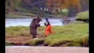 a man kick a bear in the balls