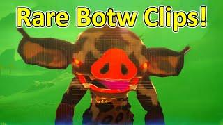 Rare Zelda Botw Clips