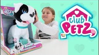 Club Petz Bowie Your Real Kissing Pup
