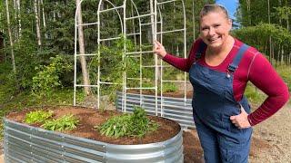 Fall Planting in Alaska Building Raised Garden beds. @Landguardgarden