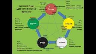 У Син  Система пяти первоэлементов