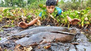 Unbelievable Hand Fishing 2022. A Village Boy Catching Big Catfish By Hand in The Water Hyacinth