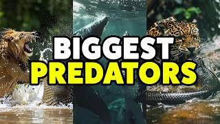 Discover the 15 Most Terrifyingly Powerful PREDATORS    Dominating the Animal Kingdom #animals