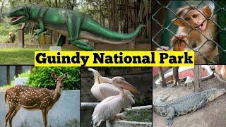 Guindy National Park  Childrens park Chennai  Snake park Chennai  Guindy park review