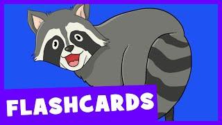 Forest Animals  Talking Flashcards