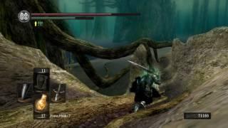 Covenant Path of the DragonAsh Lake Guide  Dark Souls