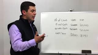 Whiteboard Chat Cow Herd Profitability