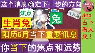 生肖兔 6月中至6月30日 这些事情过后让你重新确定方向阳历6月运势的补充 发布时间2024年6月7日