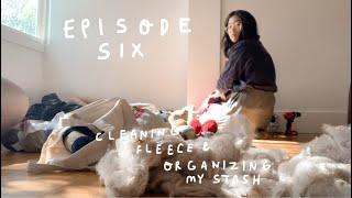 COZY CARDIGANS Episode 6  Vlog - A Week in My Life Cleaning Fleece & Organizing My Yarn Stash