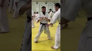 Training camp with Shihan Oleksandr Korol WKO Ukraine