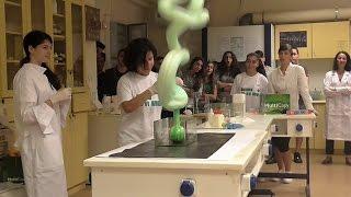 11 Fascinating Chemistry Experiments Compilation