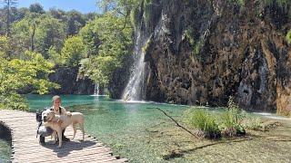 Van Life in Beautiful Croatia  Solo Van Life with a Dogo Argentino