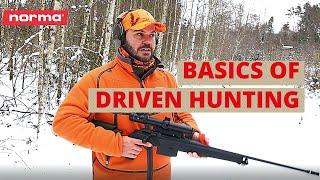 Basics of Driven Hunting  Norma Academy