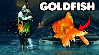 My Goldfish is an Elden Ring Pro