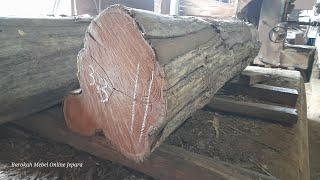 Penasaran Proses Belah Kayu Jati Tpk Blora Diameter Besar.. Mutu M Lokal Harga Murah Blimbing Pecah