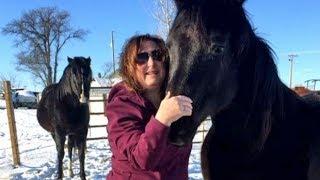 B.C. woman upset after horses sold to slaughtering plant