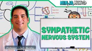 Neurology  Sympathetic Nervous System