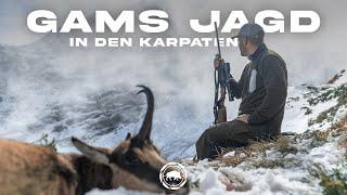 Gamsjagd  Jagd auf die legendäre Karpaten Gams