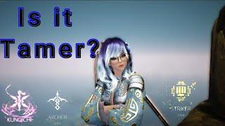 Which Is the Best Class in Black Desert? Explained with Facts and Logic