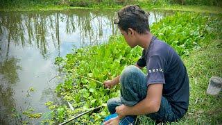 Best Hook fishing Video  Village Smart Boy hunting fish by fish hook From beautiful nature