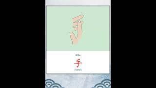 学中文  汉字  Learn Chinese  Chinese Character  手