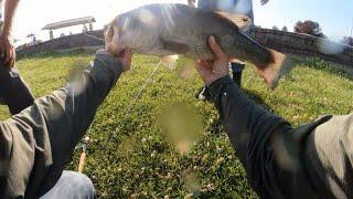 POV Monster Bass Action on Top Water Lure  Worth A View   #fishing #topwater #bassfishing