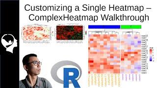 Creating a Heatmap in R  ComplexHeatMap tutorial p1