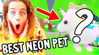 WHO CAN MAKE THE BEST NEON PET in Adopt Me Gaming w The Norris Nuts