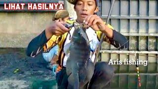 UMPAN IKAN NILA LIAR BABON PALING JITU