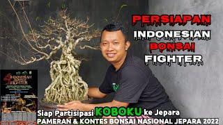 PERSIAPAN PARTISIPASI PAMNAS JEPARA 2022  BONSAI ANTING PUTRI NIAGARAI