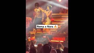 #norafatehi perform #nachmerirani with #rema in Mumbai #shortsvideo #viral