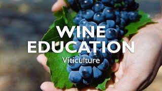 WINE EDUCATION  Viticulture