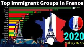 Largest Immigrant Groups in France  Top 10 Immigrant Groups in France