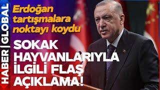 SON DAKİKA Cumhurbaşkanı Erdoğan Sokak Hayvanları Tartışmasına Noktayı Koydu