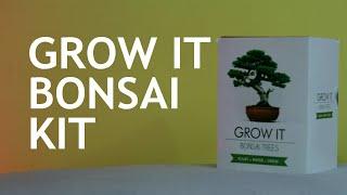 Grow It Bonsai Kit 0-6 months. Part 1