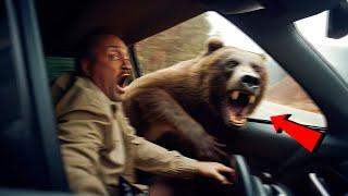 Он Не Должен Был Выходить из Машины… Жуткие Кадры с Медведями Снятые на Камеру