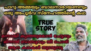 മിന്നൽ ബാബുവും മന്നായി കുഞ്ഞുമോൻ ചേട്ടനും  പാറു അമ്മയും ബാലനാരായണനും ഒരു അപൂർവ സ്നേഹത്തിന്റെ കഥ 