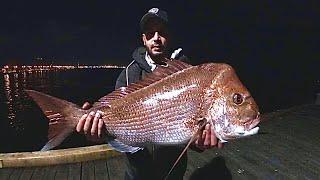 Land based monster Melbourne snapper  Port Phillip Bay Snapper