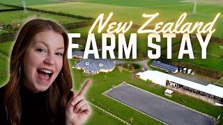 Our $1600 Farm Stay near Christchurch NZ  FULL Airbnb Tour