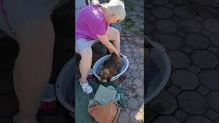 Spring bath for Lucy